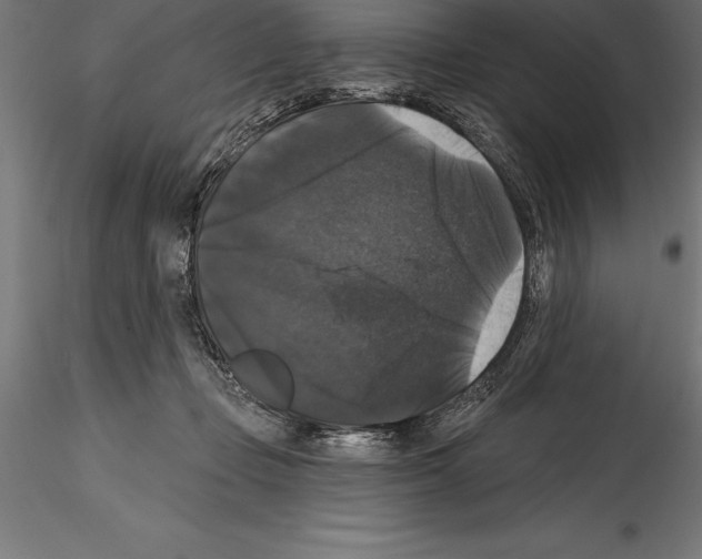 X0000114580365200911301340