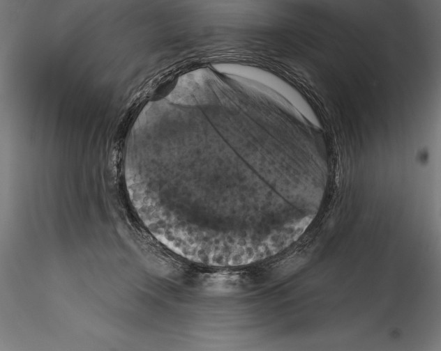 X0000114580366200911301341