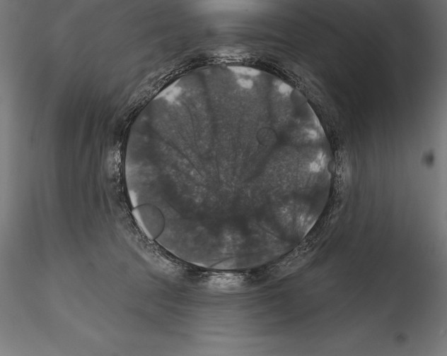 X0000114580369200911301341