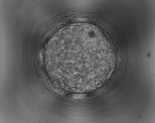 X0000114580373200911301341