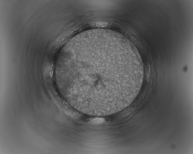 X0000114580374200911301341