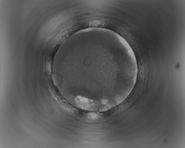 X0000114580375200911301341