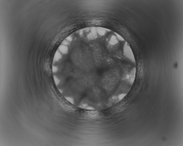 X0000114580377200911301341