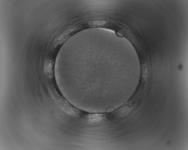 X0000114580378200911301341