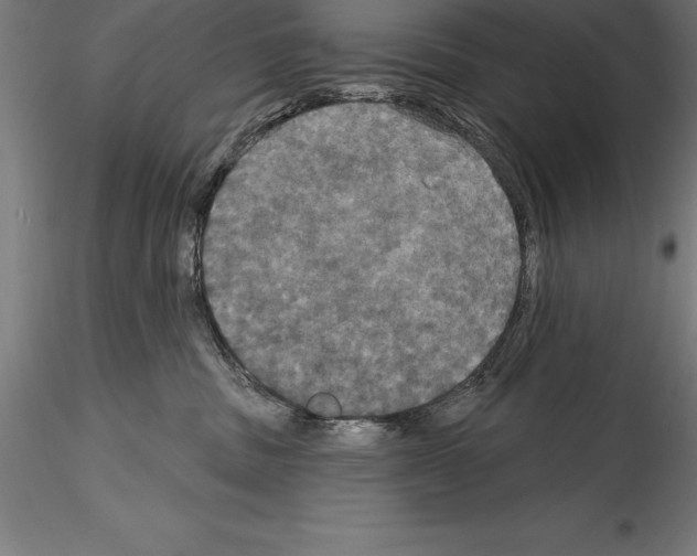 X0000114580379200911301341