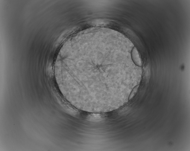 X0000114580381200911301341