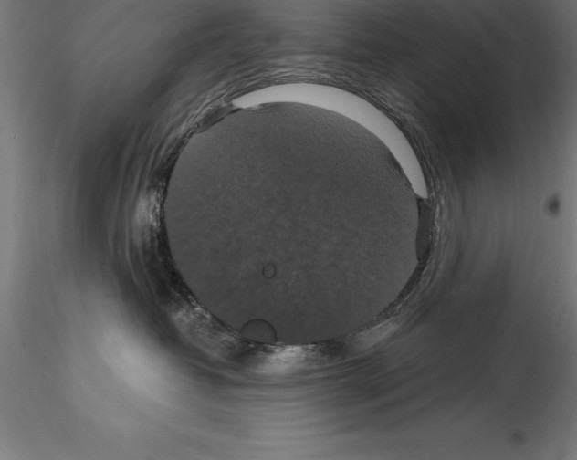 X0000114580382200911301341