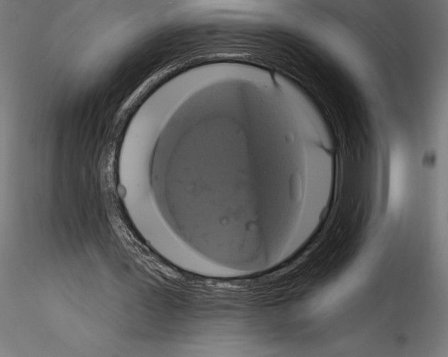 X0000114580387200911301340