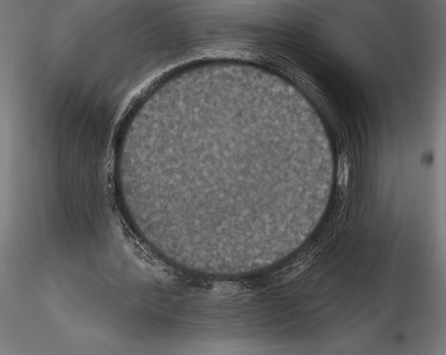 X0000114580388200911301340