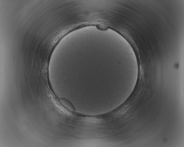 X0000114580389200911301340