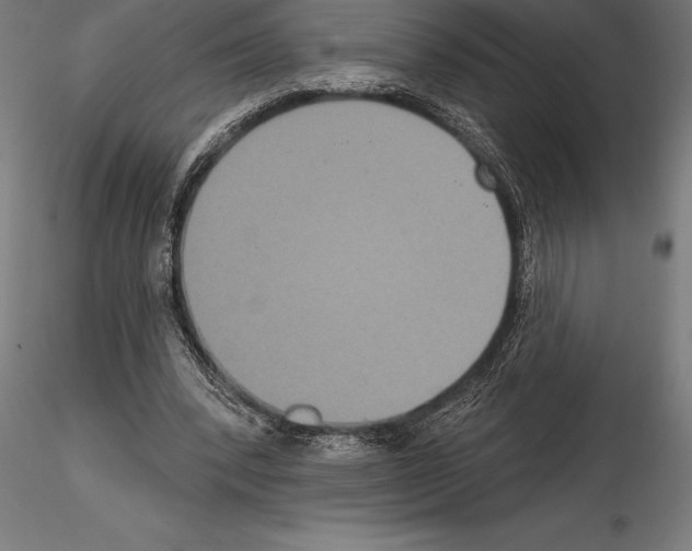 X0000114580392200911301340