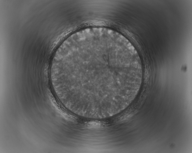 X0000114580394200911301340