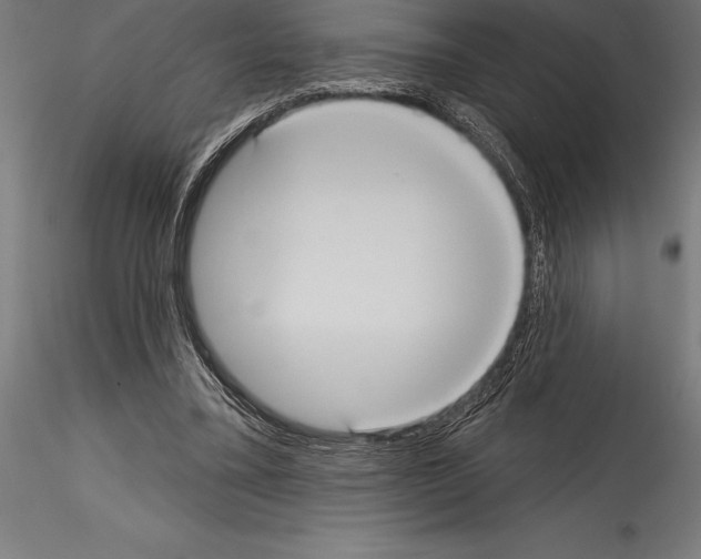 X0000114580395200911301340