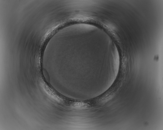 X0000114580399200911301340