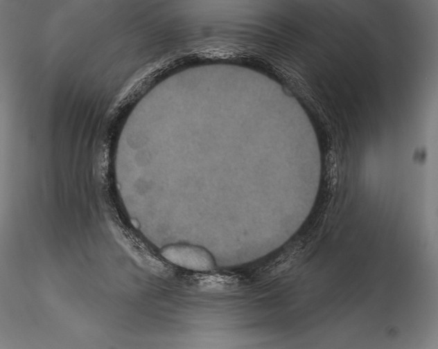 X0000114580400200911301340