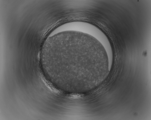 X0000114580405200911301340