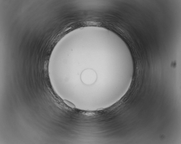 X0000114580409200911301340