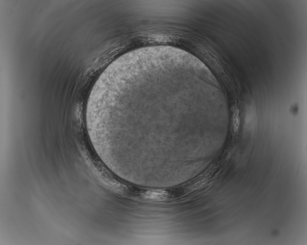 X0000114580410200911301340