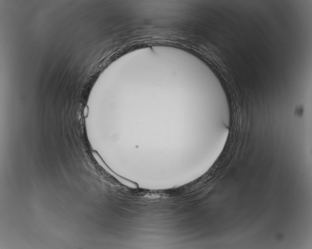 X0000114580415200911301340