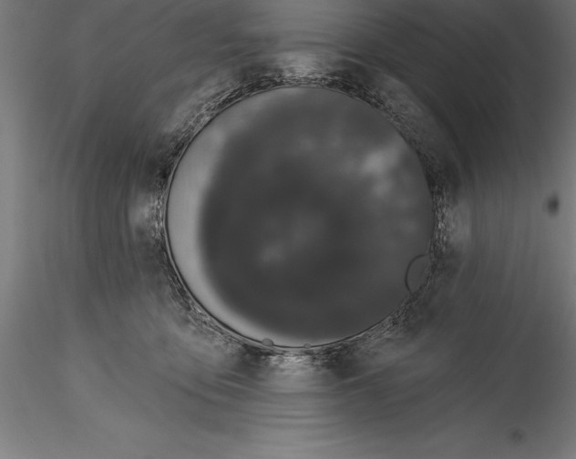 X0000114580419200911301340