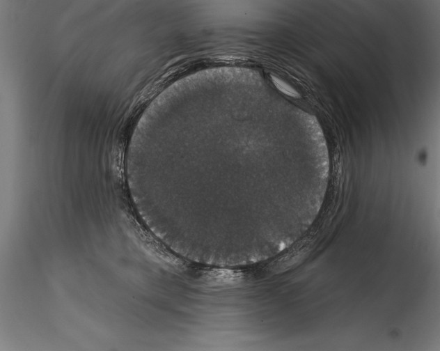 X0000114580421200911301340