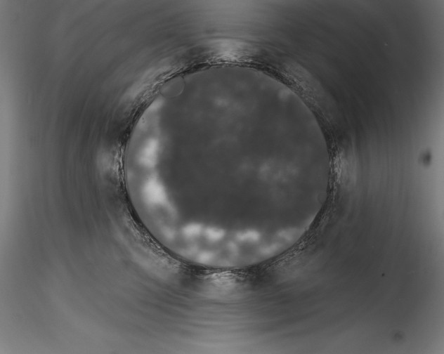 X0000114580423200911301340