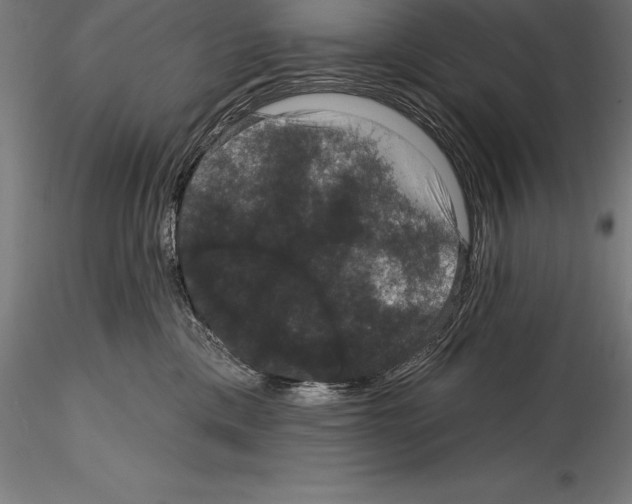 X0000114580425200911301340