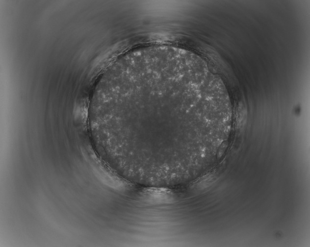 X0000114580427200911301340