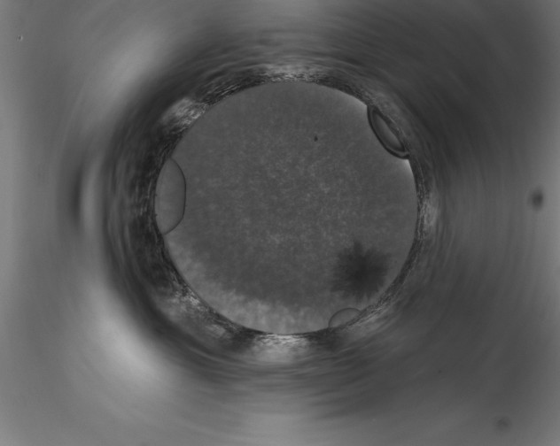 X0000114580429200911301339