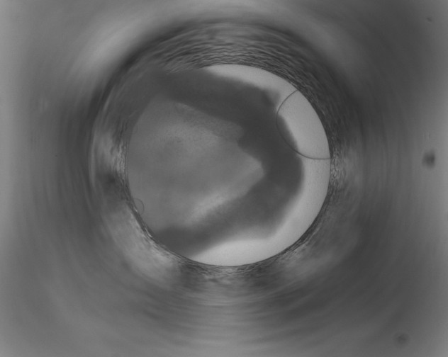 X0000114580431200911301339