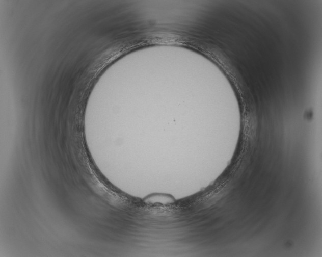 X0000114580433200911301339