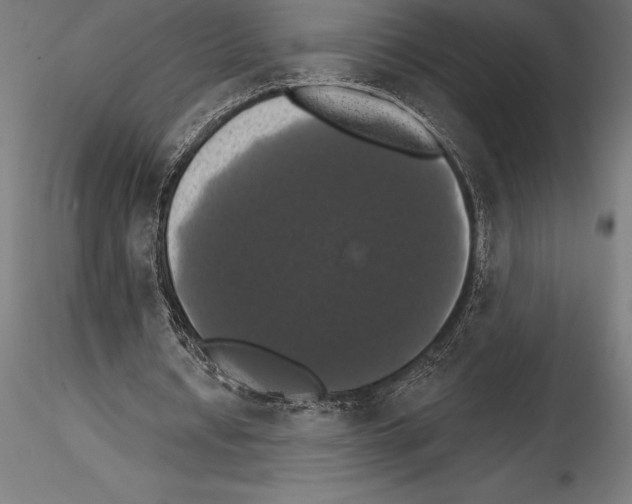 X0000114580434200911301339