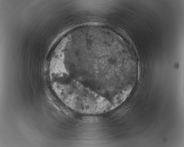 X0000114580435200911301339