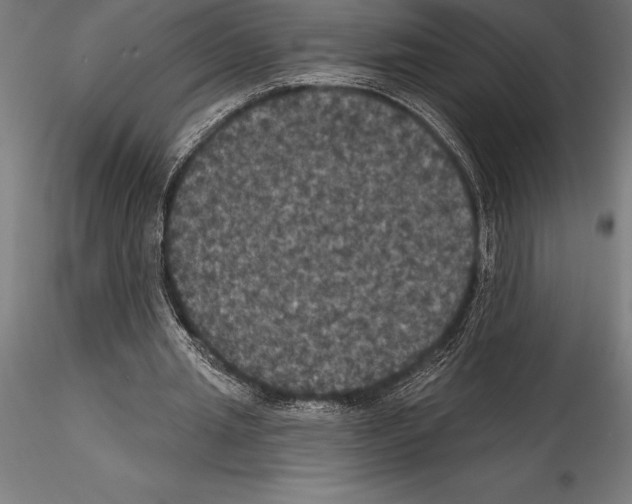 X0000114580437200911301339