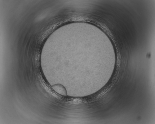 X0000114580441200911301339