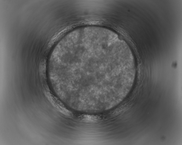 X0000114580442200911301339