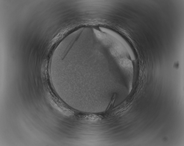 X0000114580443200911301339