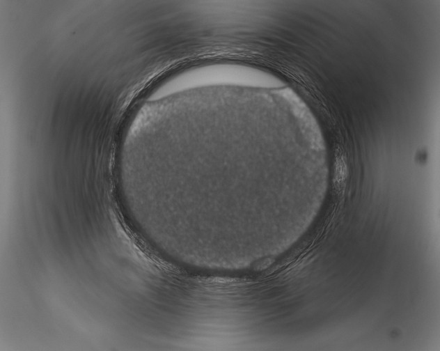 X0000114580444200911301339