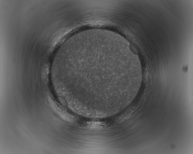 X0000114580448200911301339