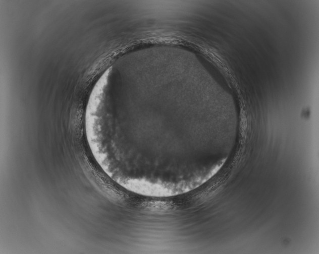 X0000114580449200911301339