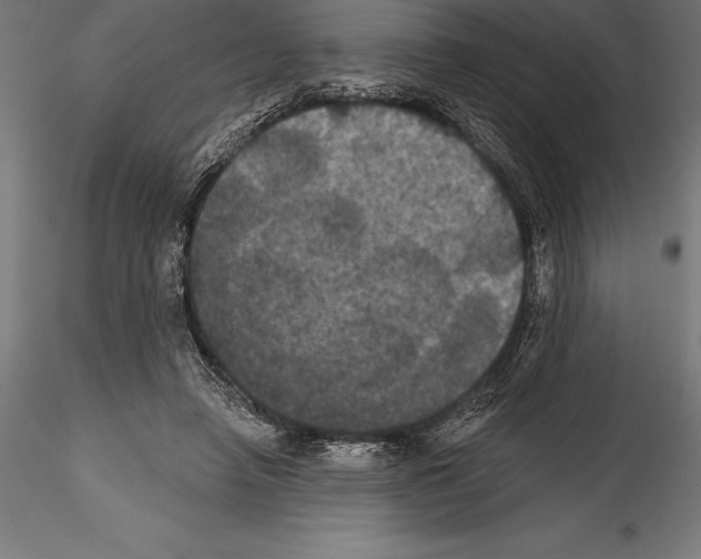 X0000114580450200911301339