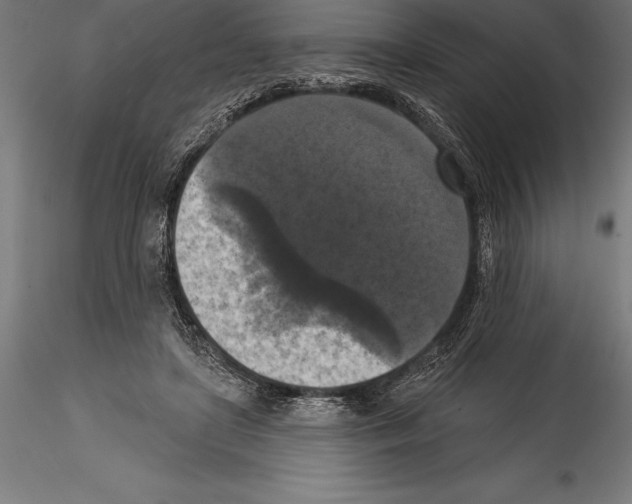 X0000114580451200911301339