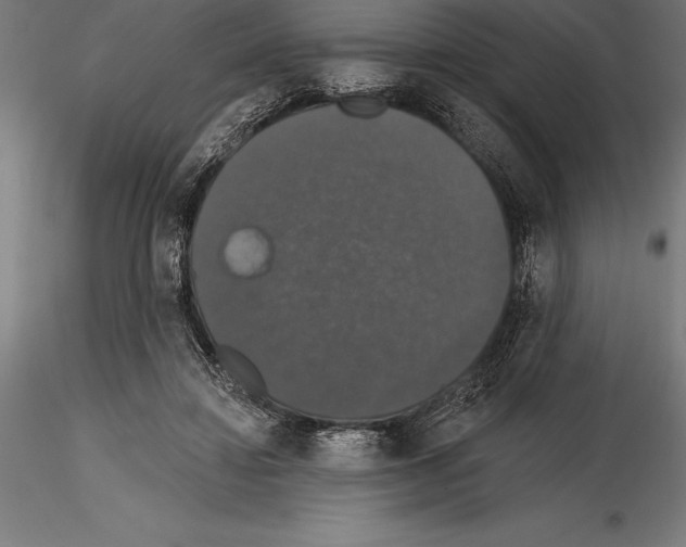 X0000114580452200911301339