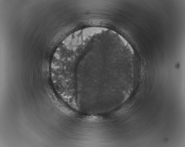 X0000114580453200911301339