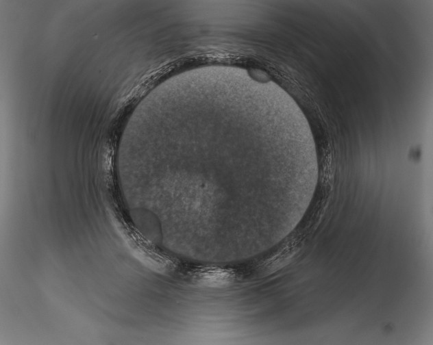 X0000114580456200911301339