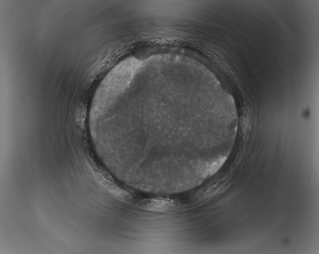 X0000114580458200911301339