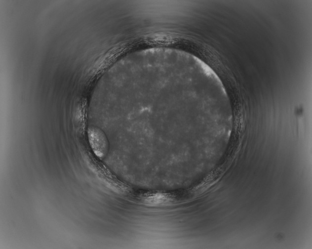 X0000114580460200911301339