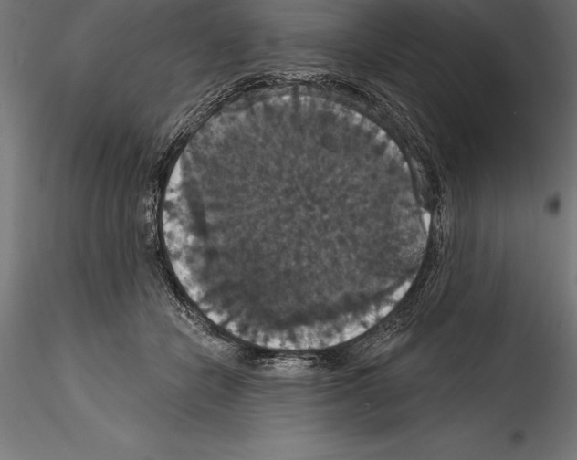 X0000114580462200911301339