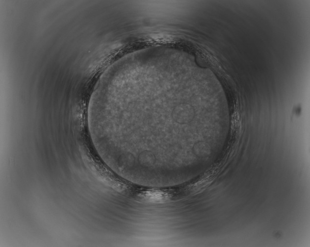 X0000114580464200911301339