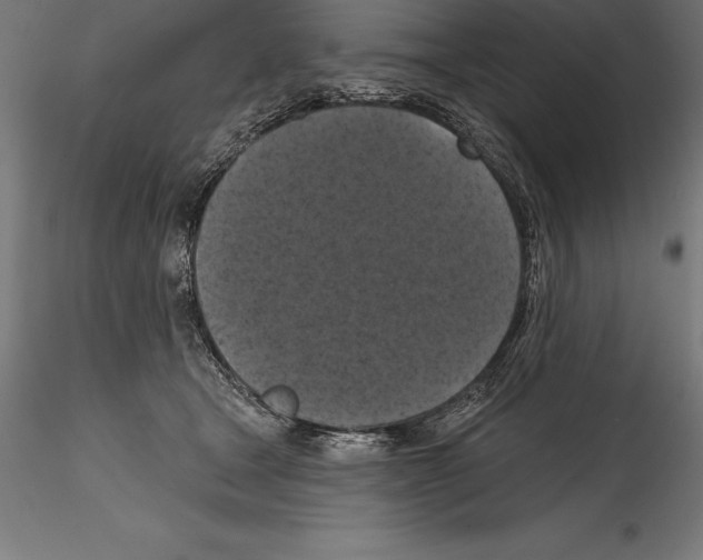 X0000114580465200911301339